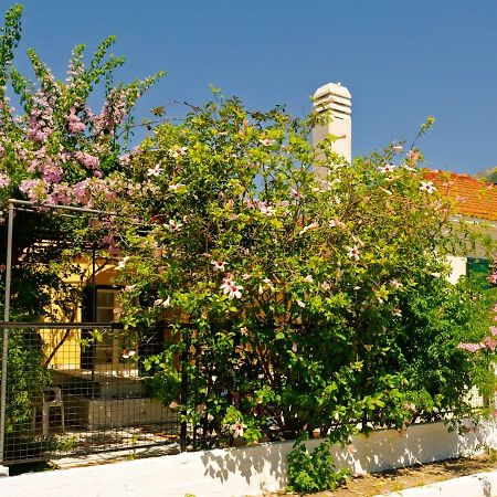 Agia Efimia House With Garden Near The Sea 아파트 외부 사진