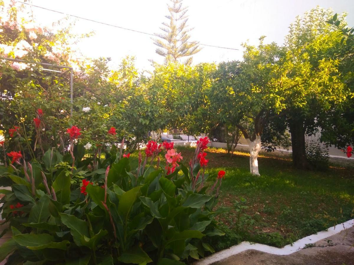 Agia Efimia House With Garden Near The Sea 아파트 외부 사진