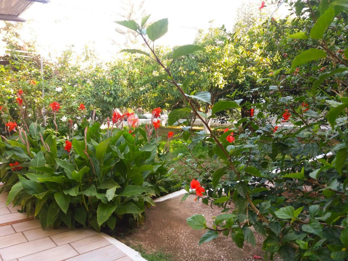 Agia Efimia House With Garden Near The Sea 아파트 외부 사진