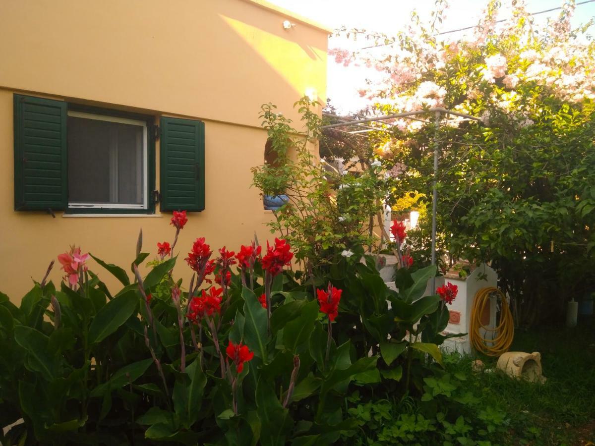 Agia Efimia House With Garden Near The Sea 아파트 외부 사진