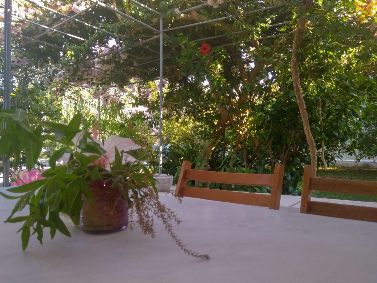 Agia Efimia House With Garden Near The Sea 아파트 외부 사진