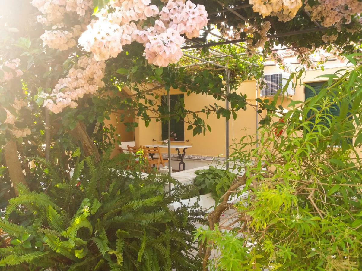 Agia Efimia House With Garden Near The Sea 아파트 외부 사진