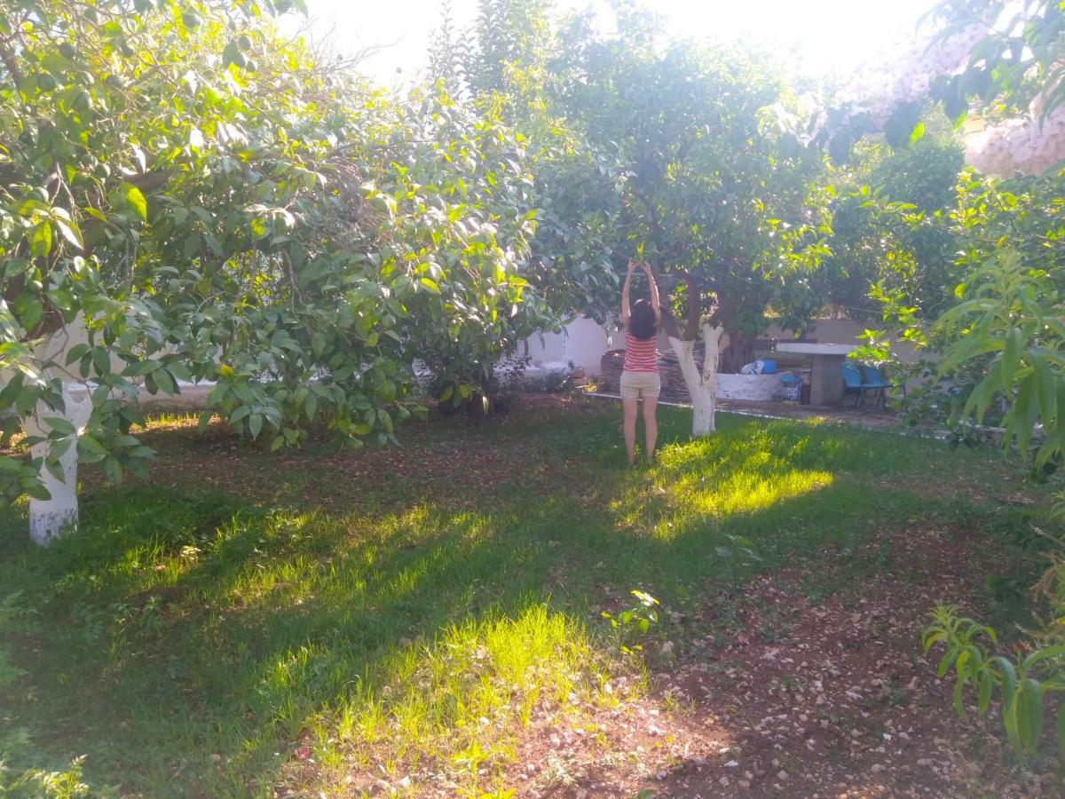 Agia Efimia House With Garden Near The Sea 아파트 외부 사진